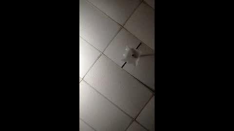 miloanj online show from November 7, 2025, 4:45 am