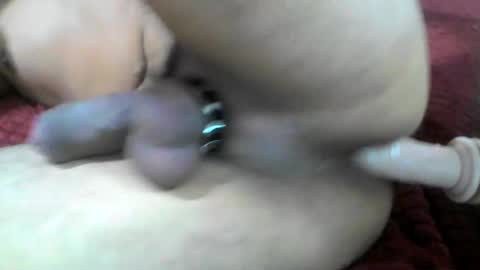 milowolf69 online show from July 28, 2026, 1:01 am