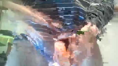 Snapshot of milymen26 chatting on January 13, 2026, 11:32 pm Milymen26 Polish man master fereskik straight mature online show from January 13, 2026, 11:32 pm