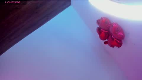 Snapshot of minami_nakamura chatting on June 27, 2026, 2:38 am minami_nakamura online show from June 27, 2026, 2:38 am