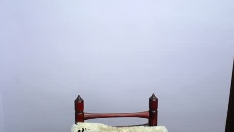 Snapshot of minato_kabuki chatting on December 19, 2024, 11:25 pm MINATO online show from December 19, 2024, 11:25 pm