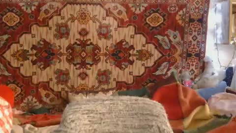 Elis online show from November 14, 2025, 1:21 pm