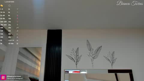 Bianca Torres online show from February 14, 2025, 11:20 pm