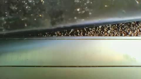 missdarkmatter69 online show from December 19, 2025, 8:49 pm