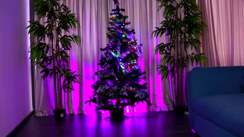 misskiarra online show from December 6, 2024, 7:43 am
