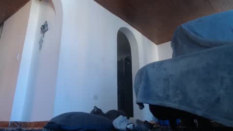 mistersam33 online show from February 10, 2025, 1:44 pm