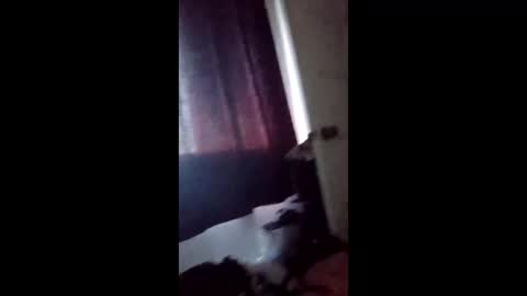 Snapshot of mistersins69 chatting on February 3, 2026, 3:17 pm mistersins69 online show from February 3, 2026, 3:17 pm