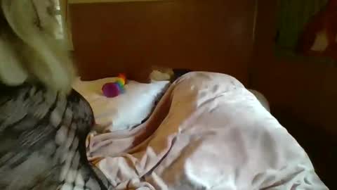 MichelleBunny7 online show from February 5, 2025, 6:48 pm