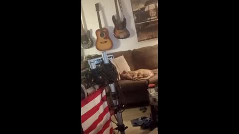 BobbyMitchGa online show from April 29, 2026, 6:06 am