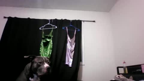 Snapshot of miztrezk chatting on May 12, 2026, 2:08 am miztrezk online show from May 12, 2026, 2:08 am