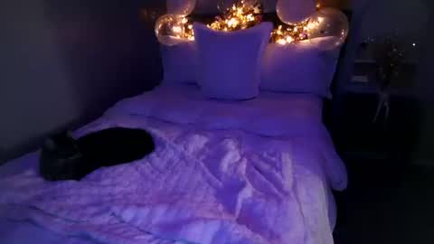 Snapshot of mmmmmwah chatting on February 20, 2026, 6:26 am Angel online show from February 20, 2026, 6:26 am