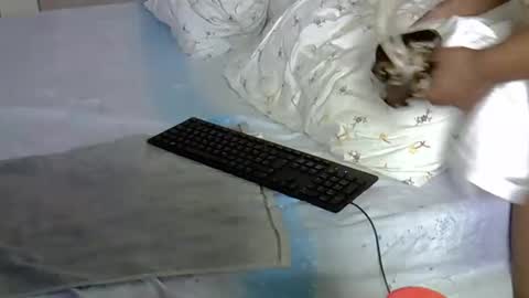 mollyn online show from March 18, 2026, 10:51 am