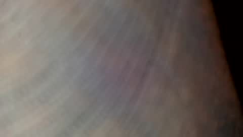 mommabearanpoppabear850 online show from December 4, 2025, 2:21 am