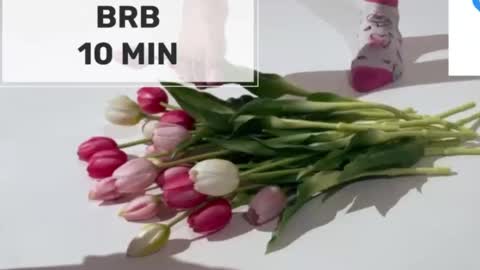 Mommy online show from March 2, 2026, 5:08 am