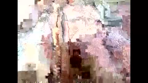 Richard Sheridan online show from September 28, 2025, 9:53 pm