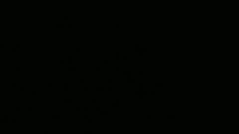 MonicaLuigi online show from December 22, 2025, 1:24 am