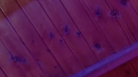 Monica Rosse online show from February 4, 2026, 4:29 am