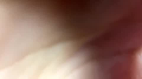 Monica online show from December 11, 2024, 8:36 am