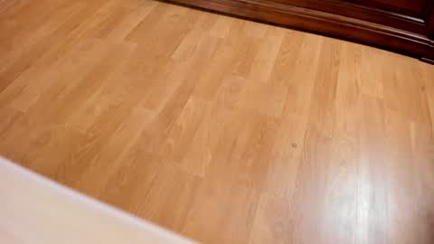 Monika NO c2c ever. PVT free Naked Fingering pussy doggy or standing BJ HJ Feet Fashion. PVT extra Toy control 400tk. online show from January 10, 2025, 7:21 pm