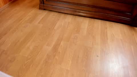 Monika NO c2c ever. PVT free Naked Fingering pussy doggy or standing BJ HJ Feet Fashion. PVT extra Toy control 400tk. online show from January 25, 2025, 7:39 pm