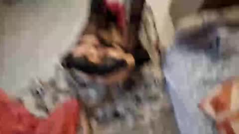 Monikina online show from February 23, 2026, 1:52 pm