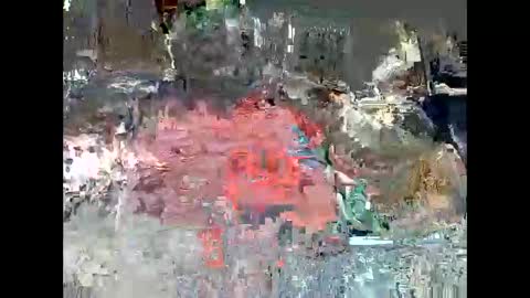 Monstercock online show from September 8, 2025, 2:16 pm