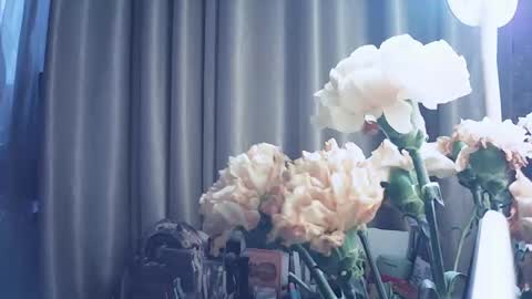 moodiemira online show from March 12, 2026, 2:56 pm