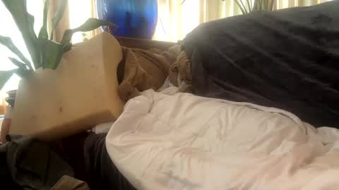 Snapshot of moon_man5 chatting on September 29, 2025, 4:01 pm Mitchell online show from September 29, 2025, 4:01 pm