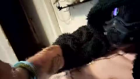 morningstar30977 online show from November 1, 2025, 7:32 am