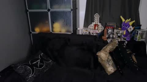 Moxxxie Morbid online show from February 19, 2025, 7:50 am
