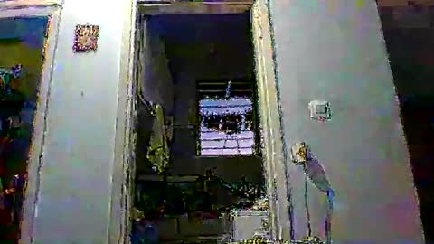 mppempis81 online show from January 14, 2026, 3:50 pm