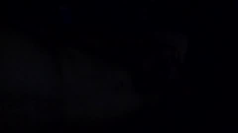 MrBiSexy online show from October 13, 2025, 5:51 am