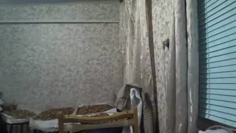 mrlike2020 online show from December 3, 2025, 8:51 pm