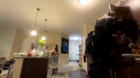 Longbi1 online show from September 18, 2025, 11:29 pm