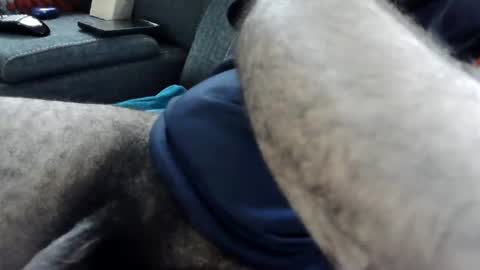 Snapshot of mrlove198 chatting on August 5, 2026, 2:09 pm mrlove198 online show from August 5, 2026, 2:09 pm