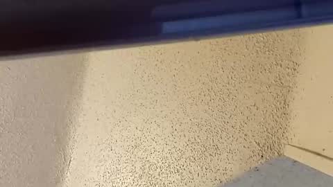 Snapshot of msalls1124 chatting on March 2, 2026, 7:32 pm melissa online show from March 2, 2026, 7:32 pm