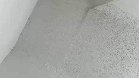 Snapshot of msalls1124 chatting on March 11, 2026, 12:16 am melissa online show from March 11, 2026, 12:16 am