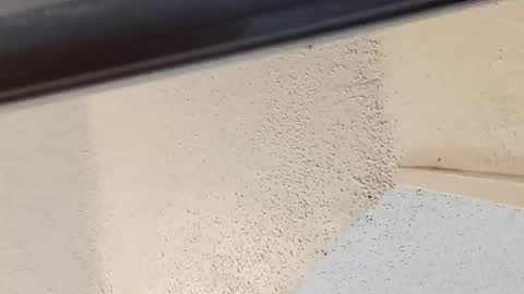 Snapshot of msalls1124 chatting on March 14, 2026, 8:58 pm melissa online show from March 14, 2026, 8:58 pm