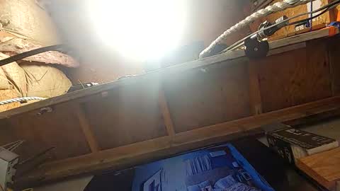 Msivy online show from February 8, 2026, 12:19 pm