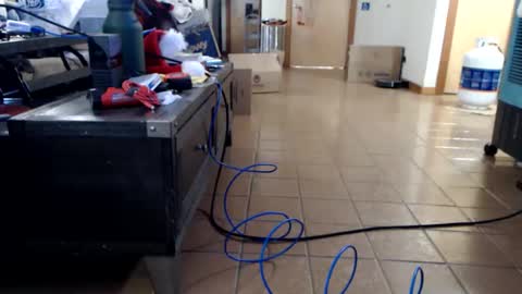 mskaylahoselegs online show from January 31, 2026, 11:58 pm