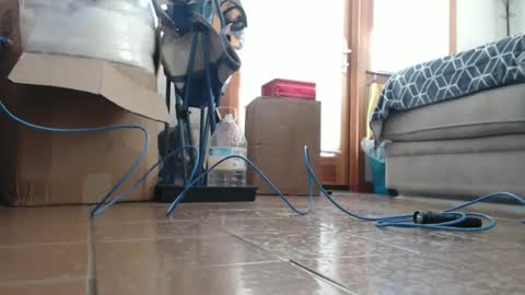 mskaylahoselegs online show from February 8, 2026, 3:48 pm