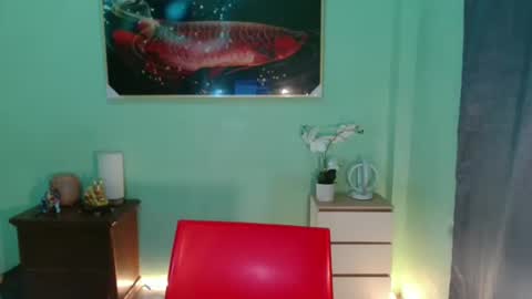 msmeygan online show from December 10, 2024, 11:43 am