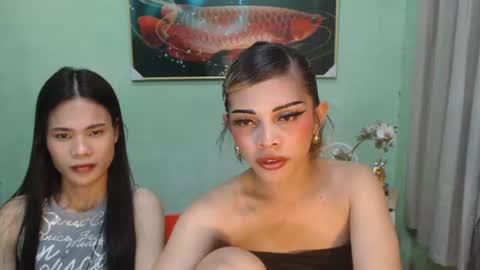msmeygan online show from June 12, 2026, 1:32 pm