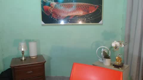 msmeygan online show from June 14, 2026, 12:08 am