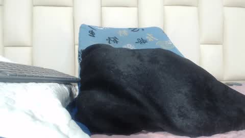 FERNANDA 3 online show from December 5, 2024, 3:04 am