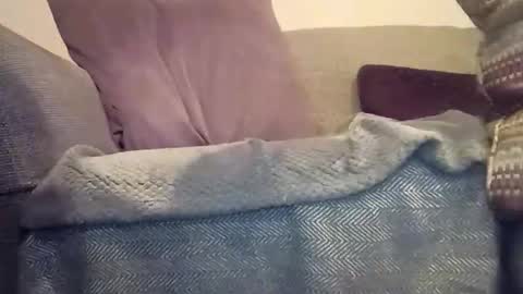 mtx9889 online show from December 17, 2025, 12:05 am