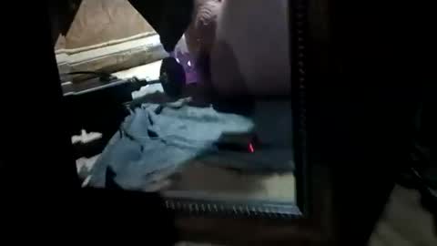 muddflapz online show from November 7, 2025, 8:47 am