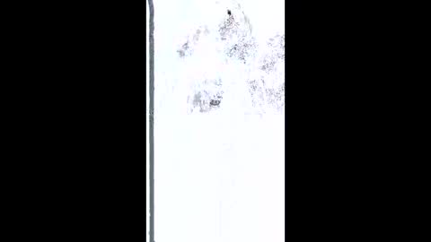 Snapshot of mudjimba chatting on February 26, 2026, 5:17 am mudjimba online show from February 26, 2026, 5:17 am