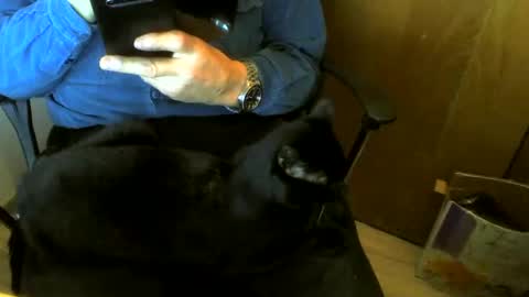 Snapshot of muller520 chatting on December 4, 2024, 1:31 pm muller520 online show from December 4, 2024, 1:31 pm