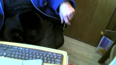 Snapshot of muller520 chatting on January 15, 2025, 5:37 pm muller520 online show from January 15, 2025, 5:37 pm